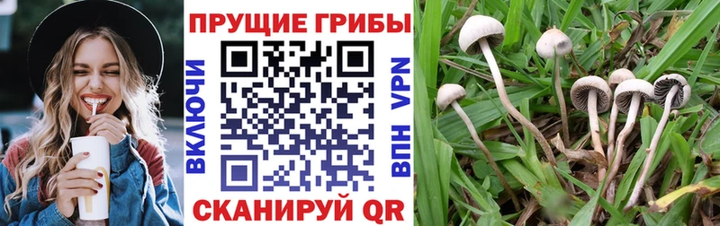 Галлюциногенные грибы GOLDEN TEACHER  где найти наркотики  МЕГА зеркало  Советский 